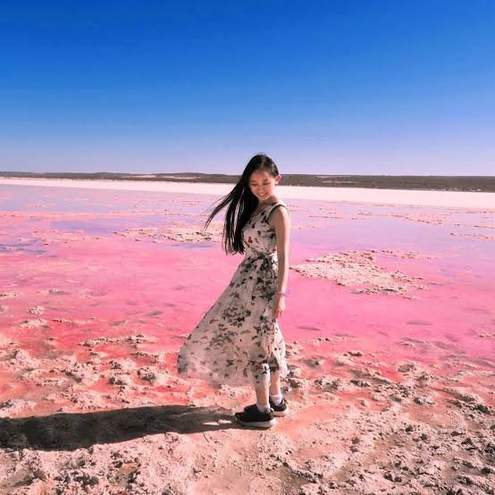 Mystery behind Pink Sand in Australia